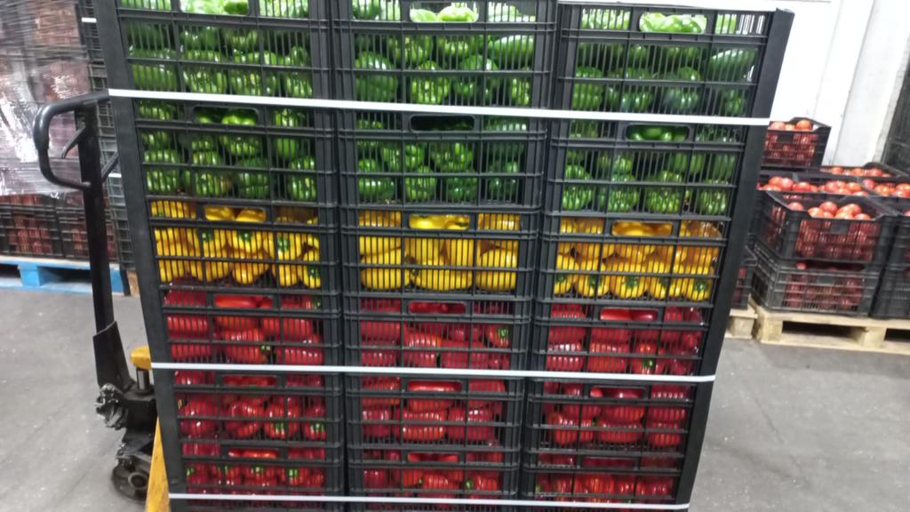 Agroindustrial Fox