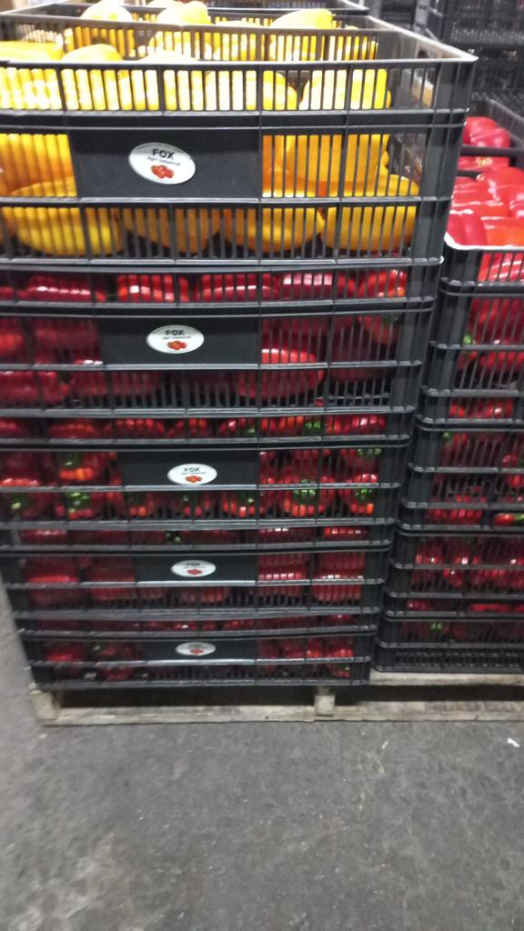 Agroindustrial Fox