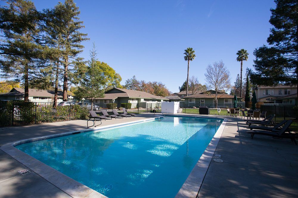 A large swimming pool with palm trees in the background