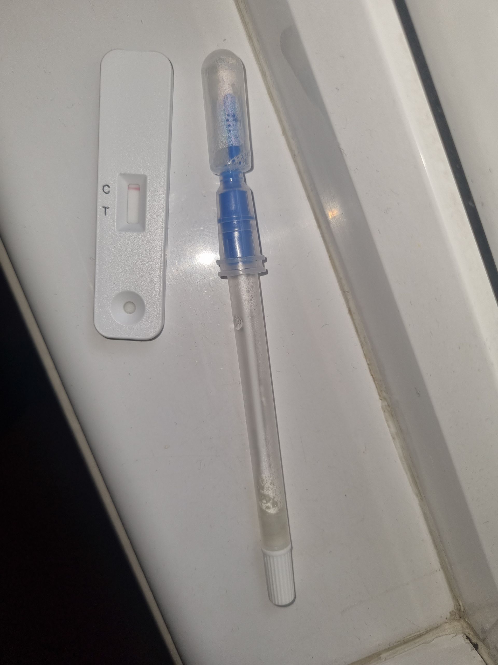 The Evolution of Bed Bug Detection TruDetx™ Rapid Test