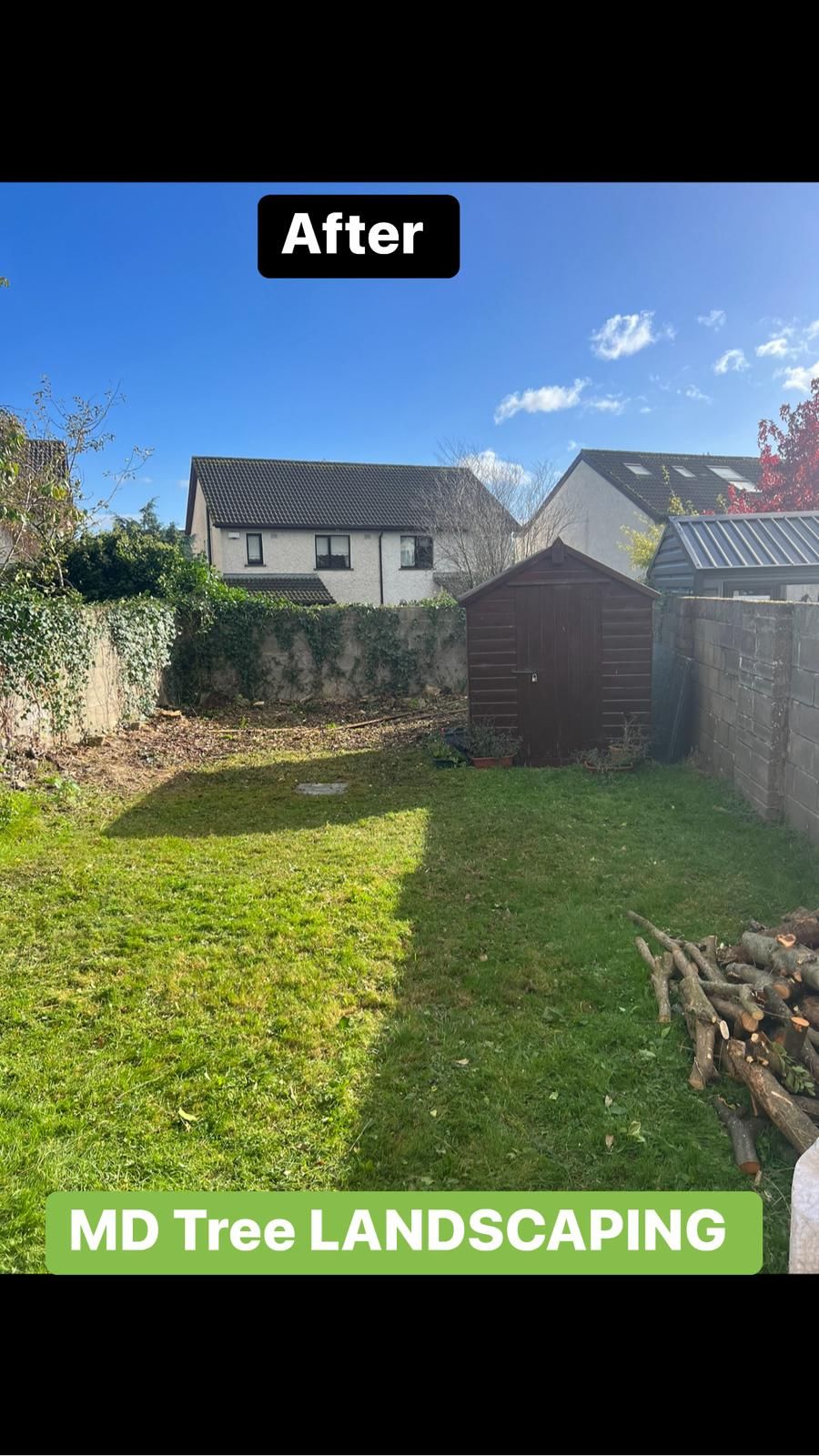 A backyard with newly cleared foliage and a shed, under a blue sky. The grass is green.