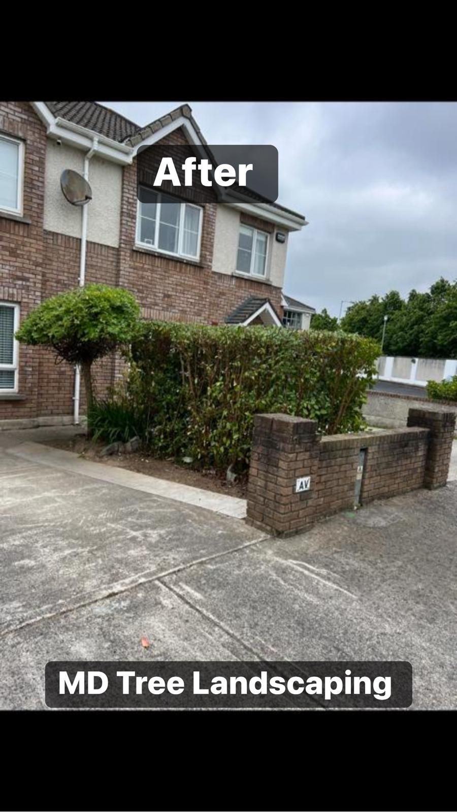 Landscaped front yard with trimmed hedge and tree in front of a two-story brick house.
