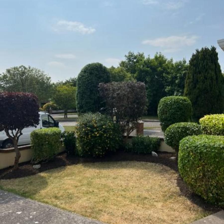 Well-manicured front yard with clipped bushes and trees under a sunny sky.