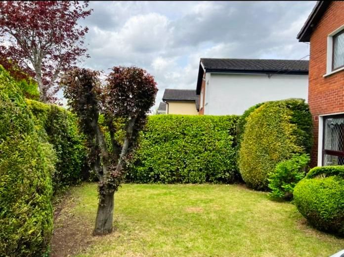 A small green yard surrounded by trimmed hedges and a bare tree against a cloudy sky.