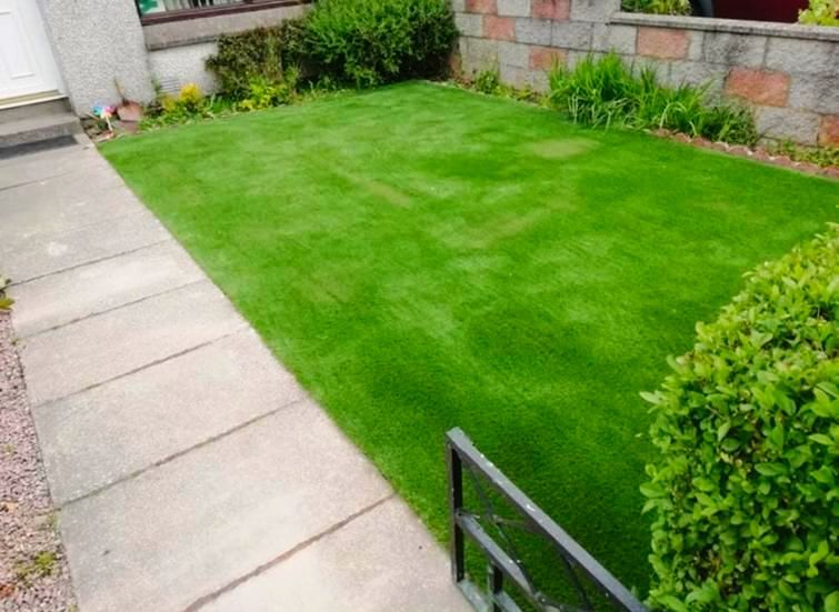 Lawn bordered by a concrete walkway and shrubs, adjacent to a house.