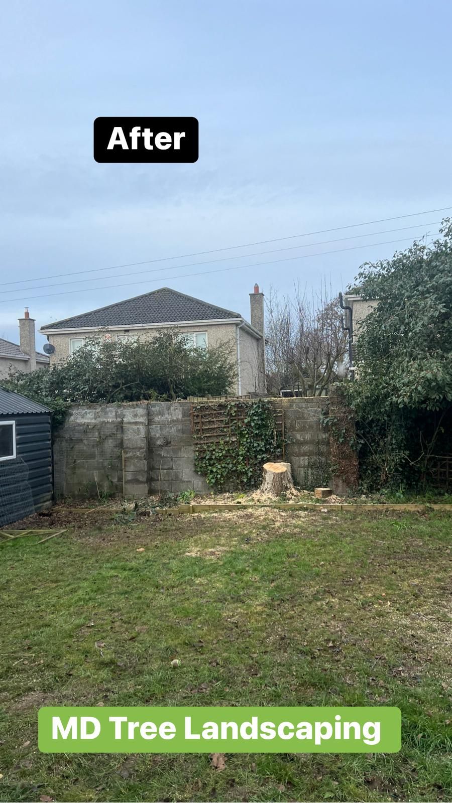 Backyard after tree removal with stump, cinder block wall, small shed, overcast sky.