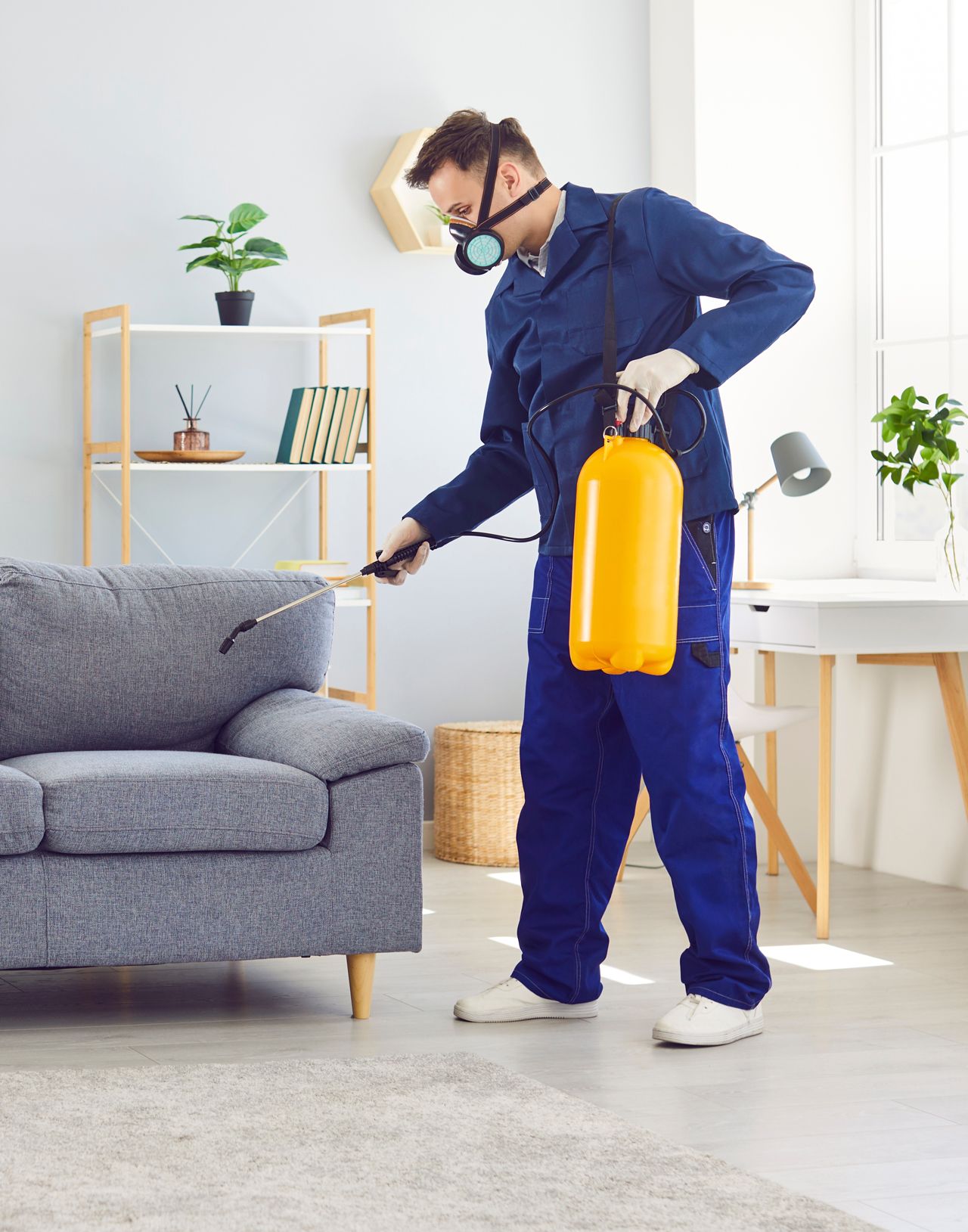 A man is spraying a couch in a living room.