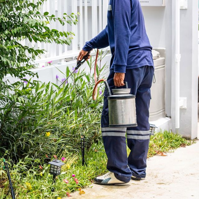 A man is spraying plants in a garden with a sprayer.