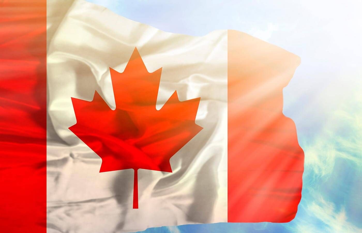 Waving Canadian flag with red maple leaf on white and red background