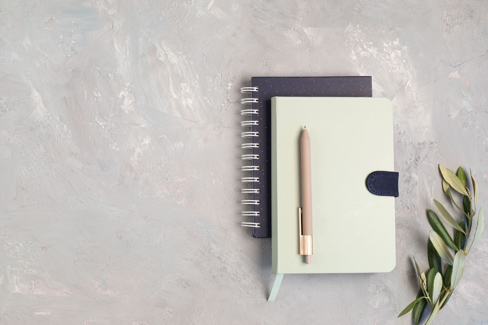 Two spiral notebooks with a pen on a light textured surface, with green leaves at the side.