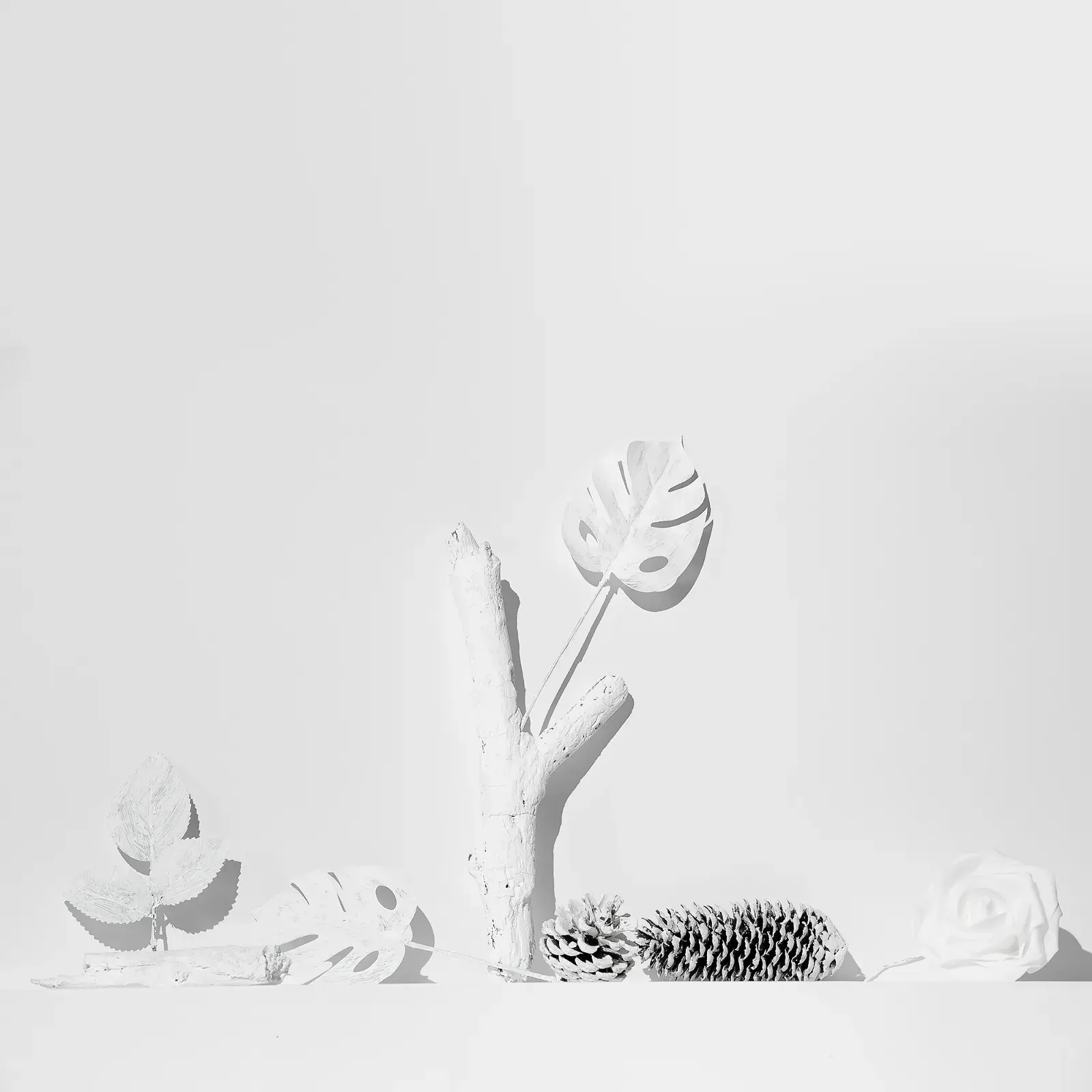 Minimal white paper craft scene with small plants, a branch, and a pinecone on a pale background