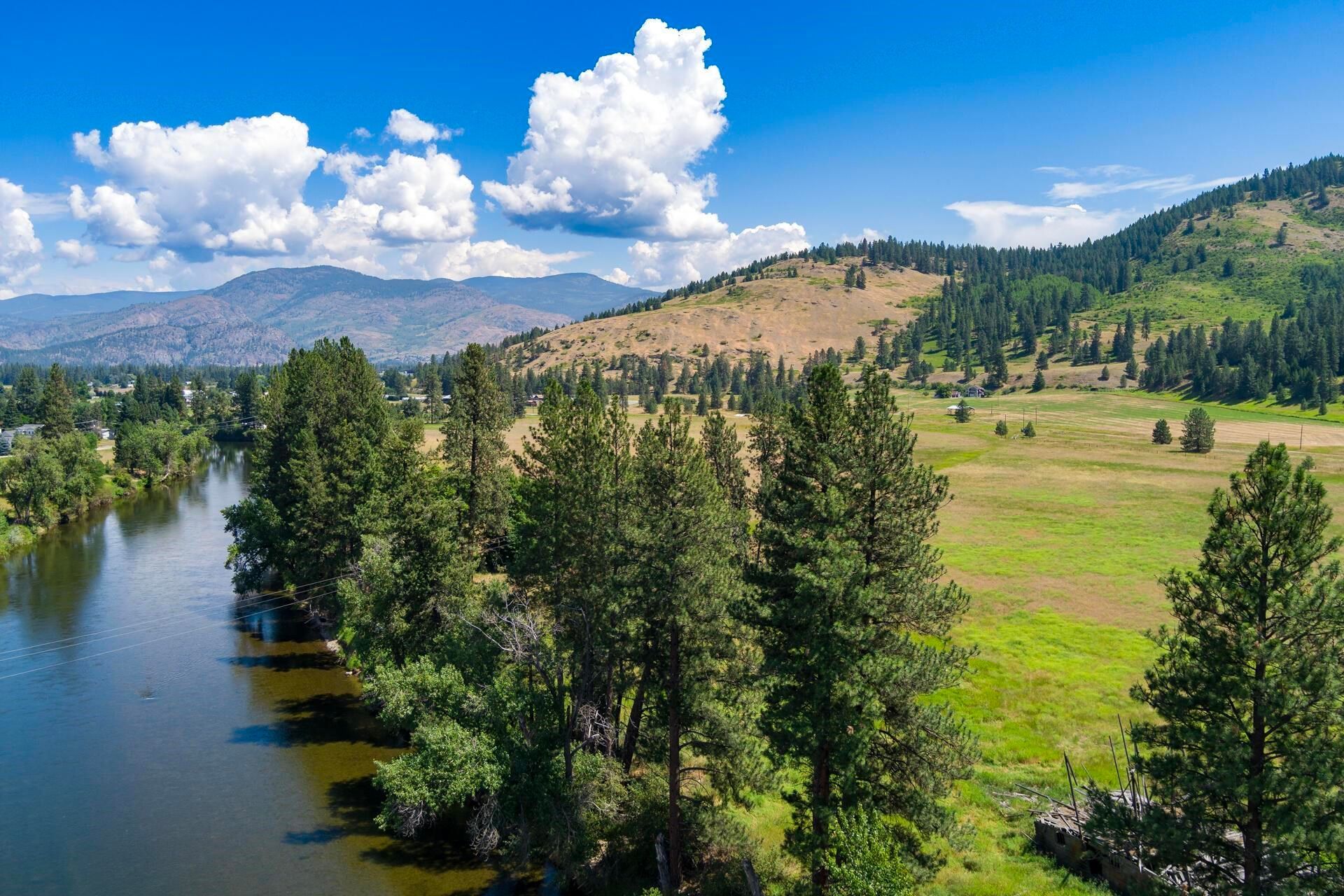 River beside pine trees and meadow under a bright blue sky with clouds and distant hills