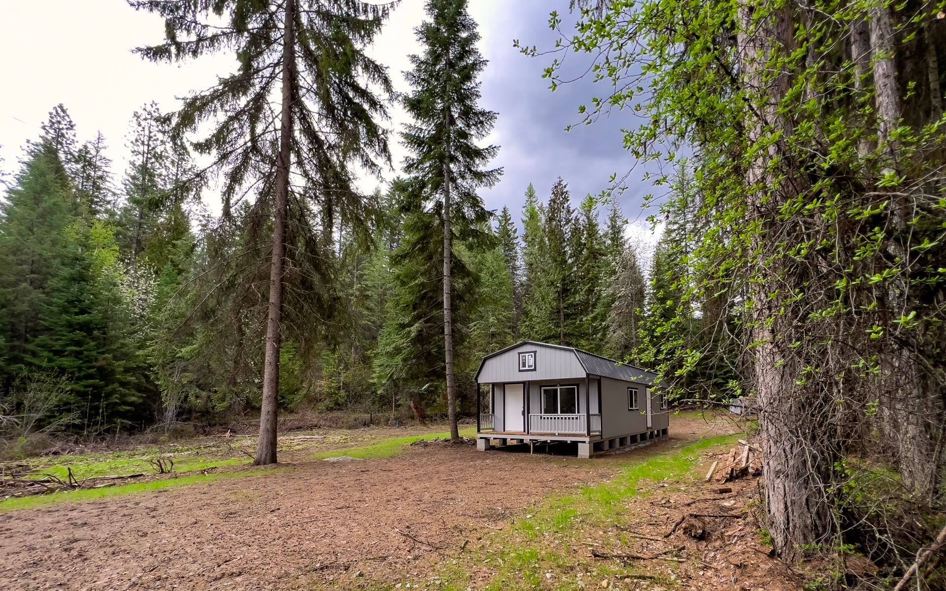 Small gray cabin in a pine forest clearing with a dirt yard and tall trees around it