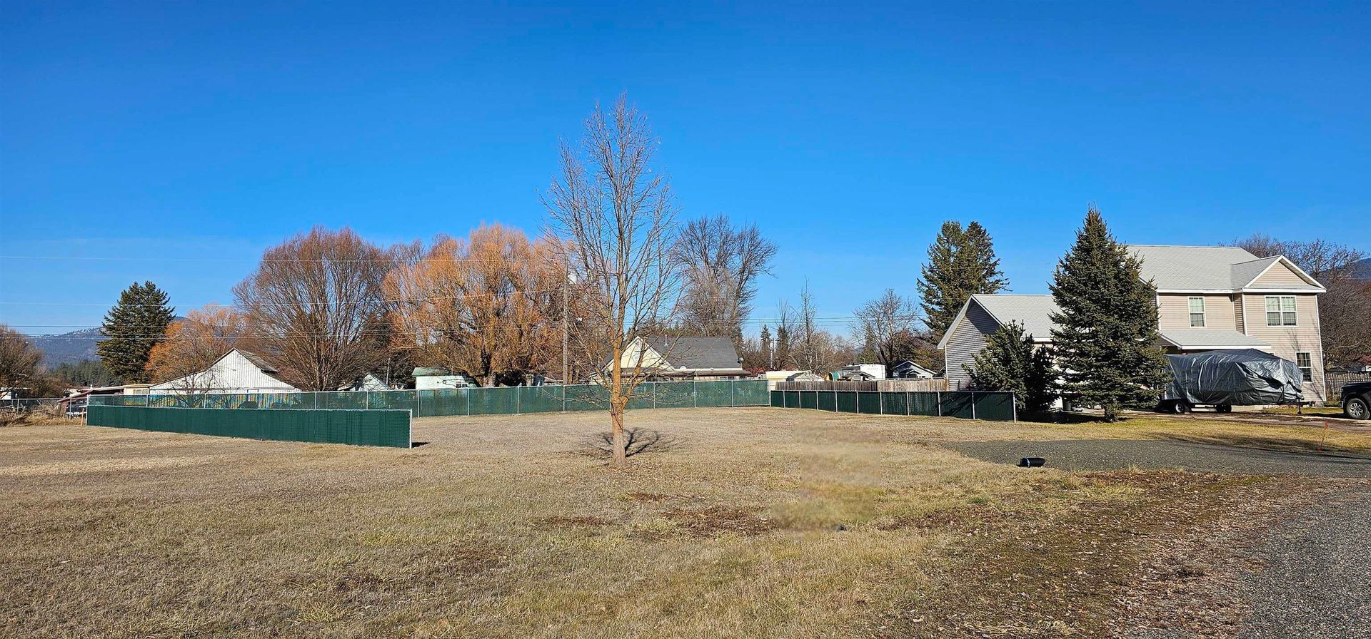 Open grassy lot with a small tree, autumn trees, and houses under a clear blue sky