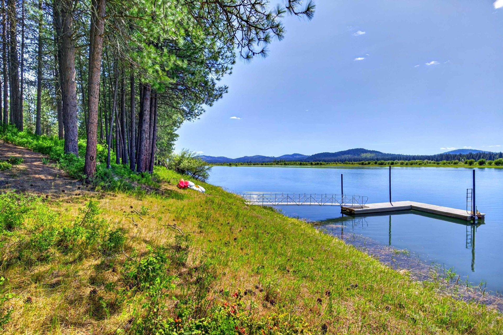 Lakeside dock beside a grassy shore and pine trees under a clear blue sky