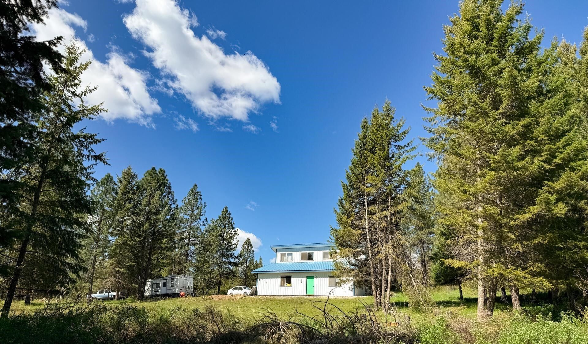 Blue house in a grassy clearing surrounded by tall pine trees under a bright blue sky