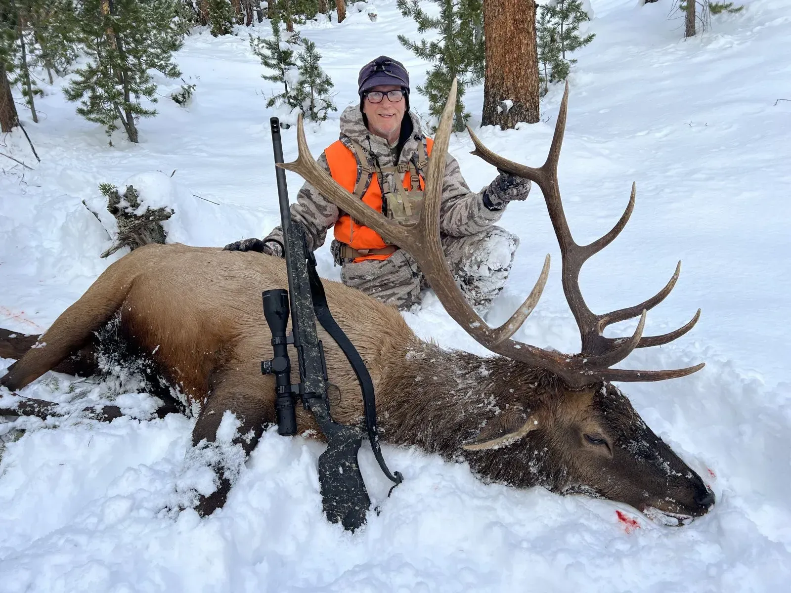 Preparing for Your Montana Elk Hunt: What You Need to Know