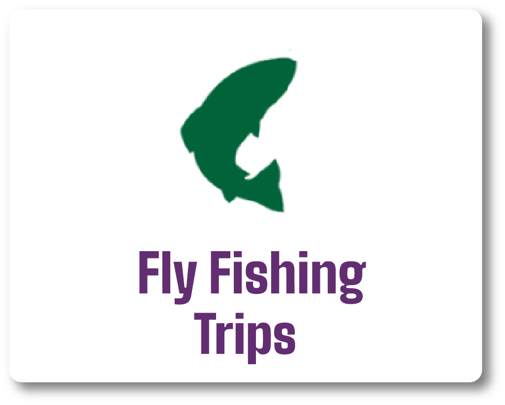 Fly Fishing Trips