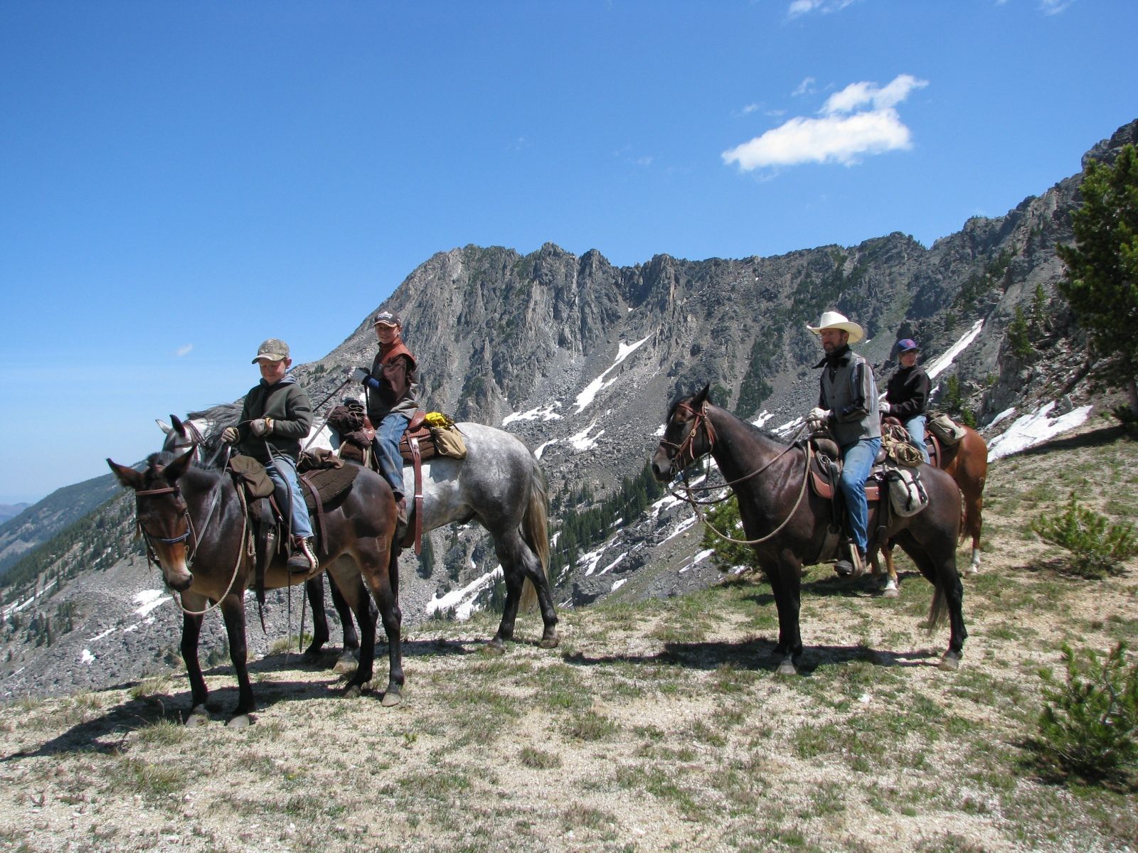 Why Horseback Hunting is the Ultimate Backcountry Experience