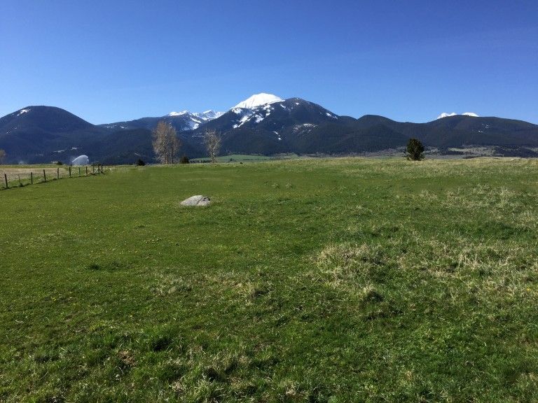Spring Black Bear Season Opens In Montana