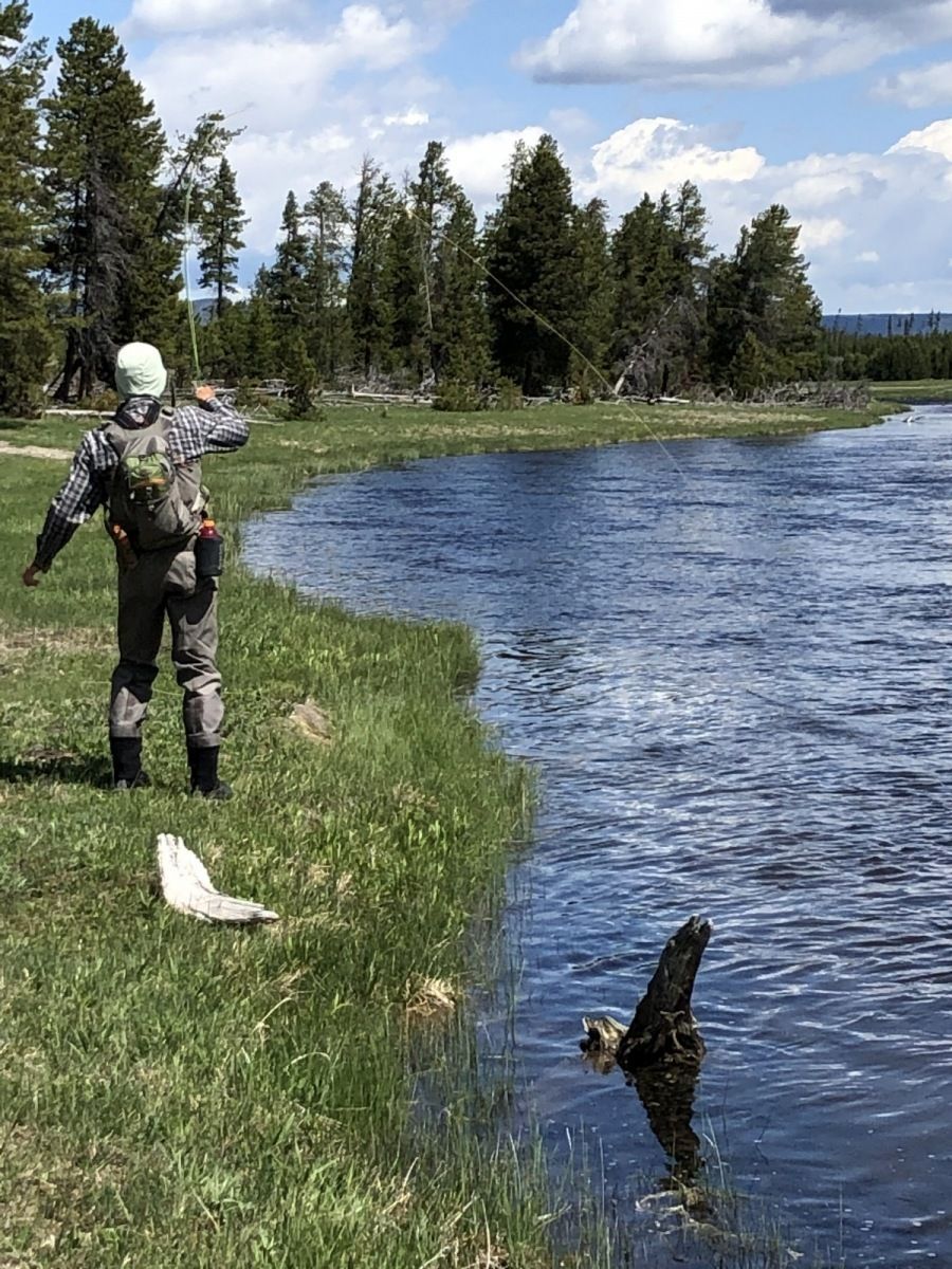 Yellowstone River Gallery Image