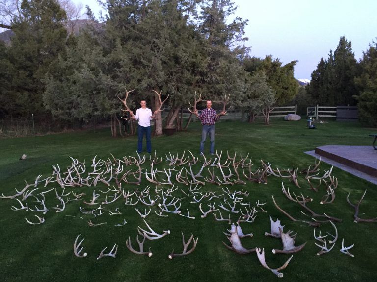 2016 Shed Season Held Some Great Success!