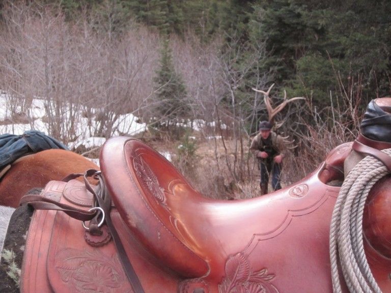Spring Activities on the Petrich Ranch