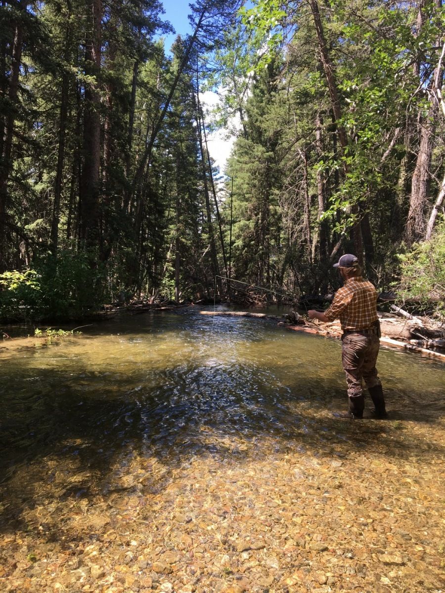 Elbow Creek Gallery Image