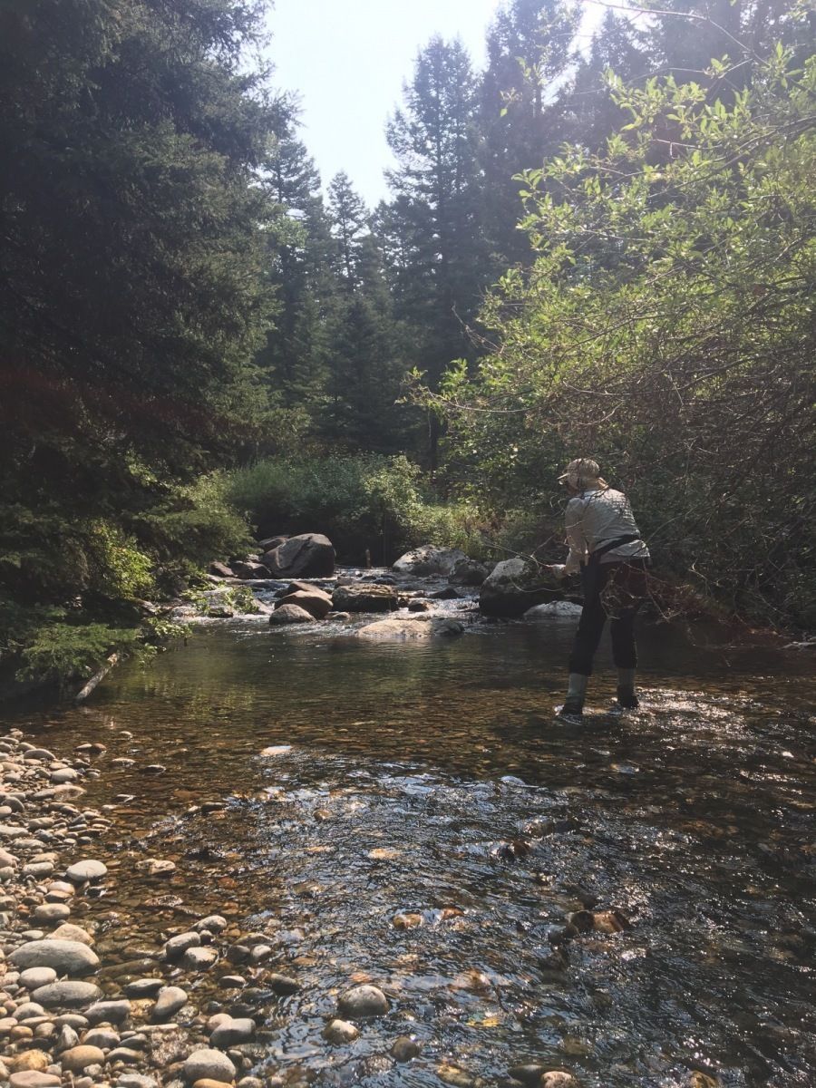 Elbow Creek Gallery Image