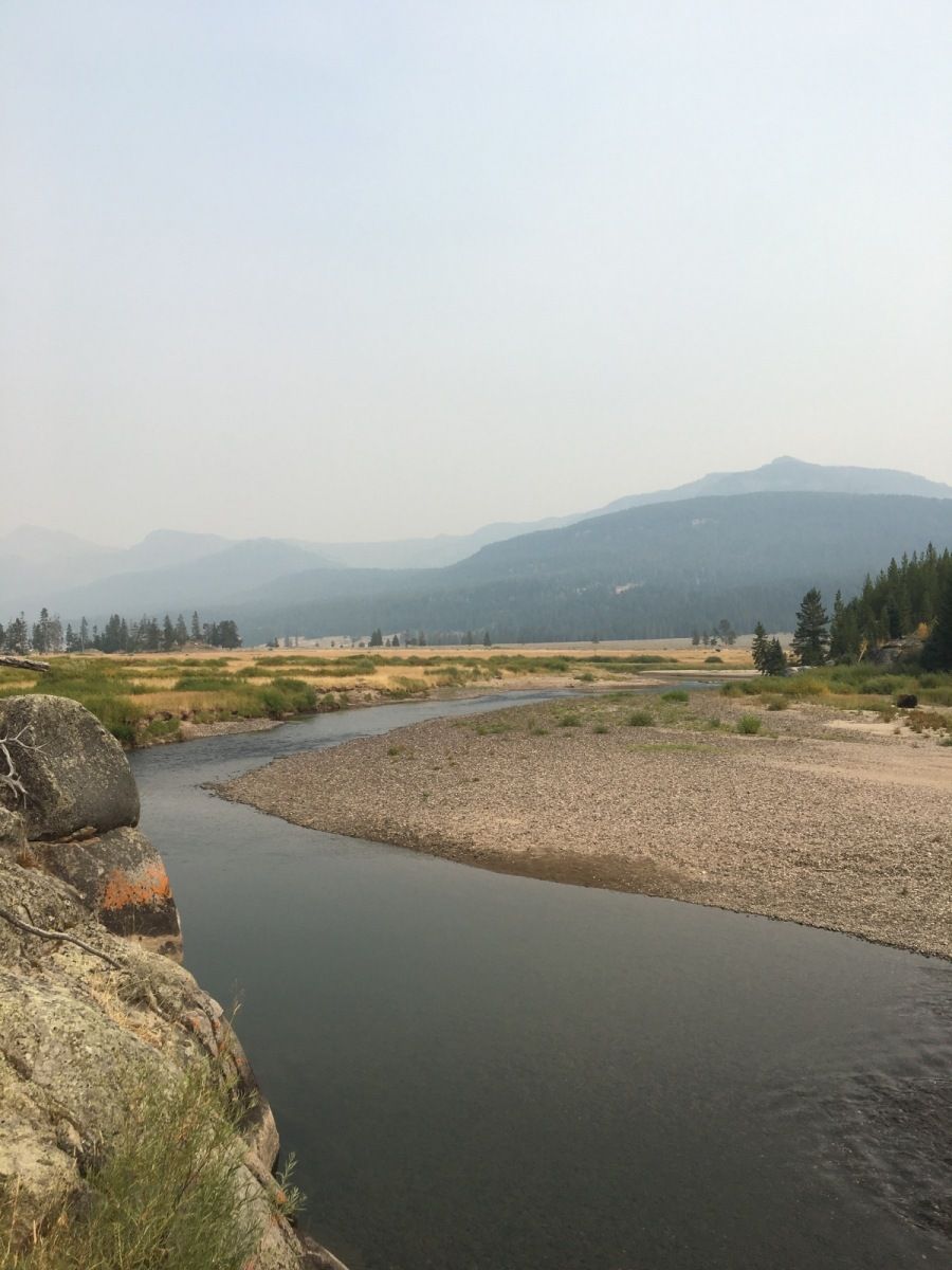 Yellowstone River Gallery Image