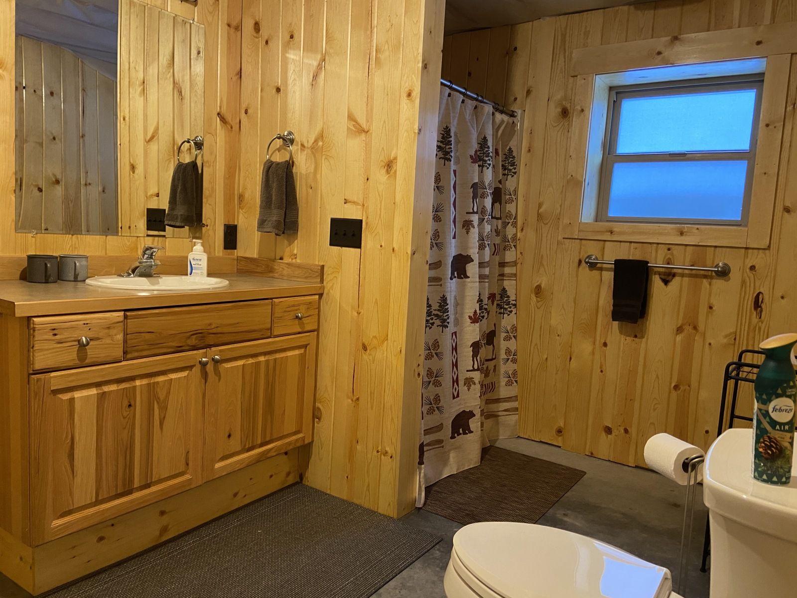 Basement Bathroom