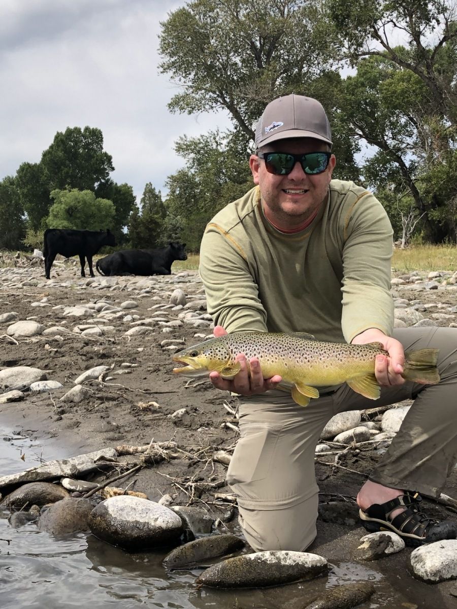 Yellowstone River Gallery Image