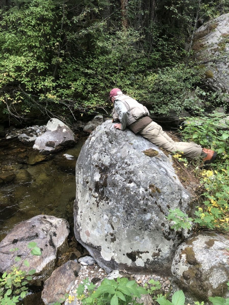 Elbow Creek Gallery Image