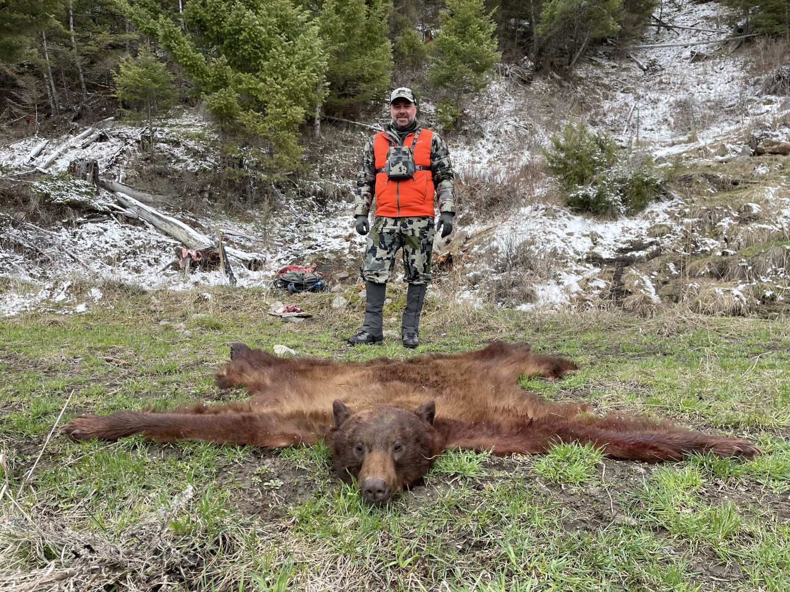 Bear Rug