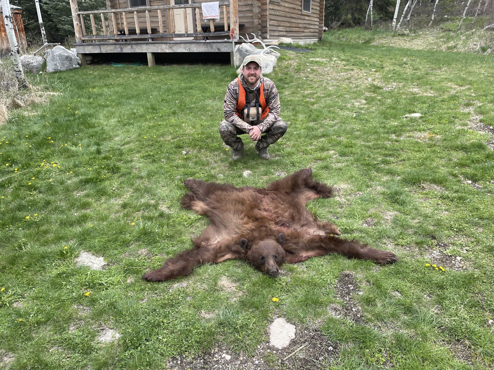 Bear Rug