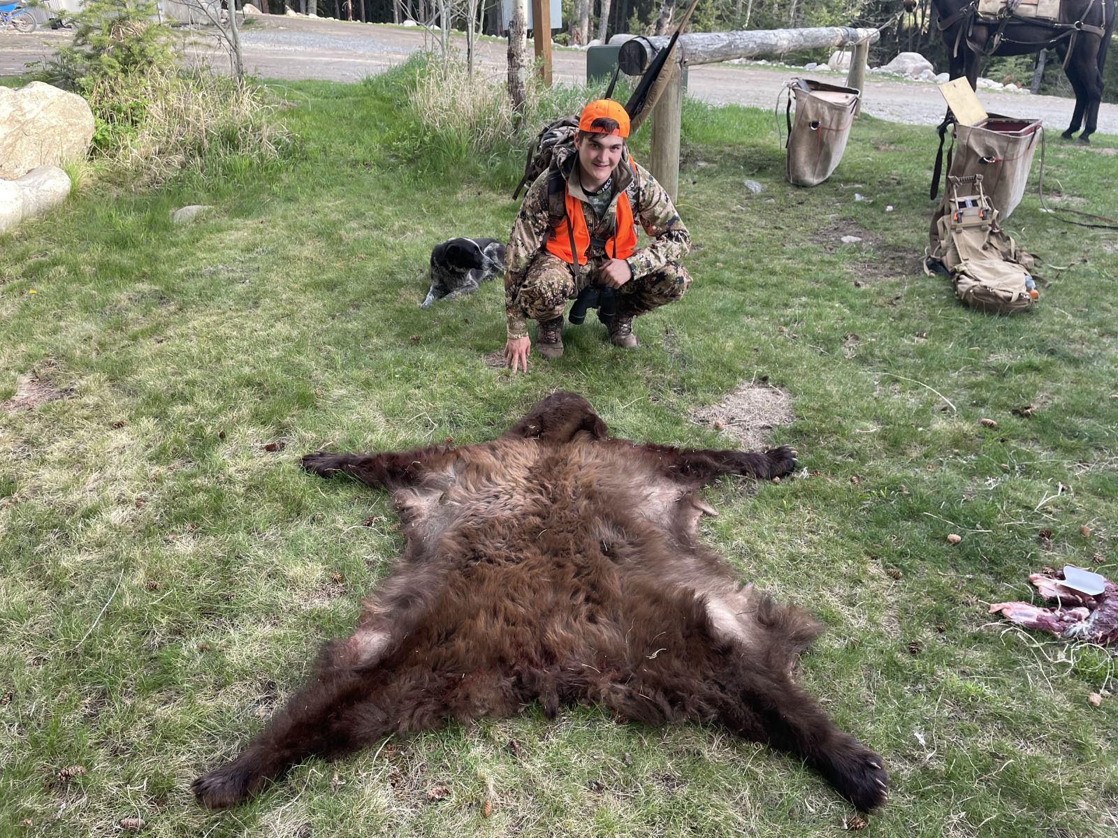 Bear Rug