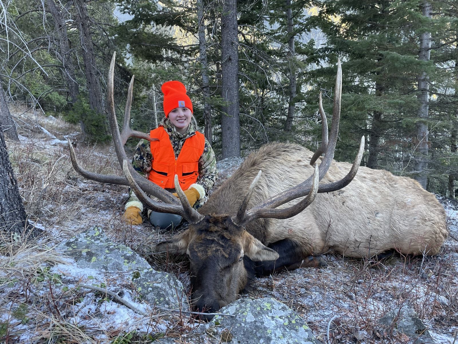 Rifle Elk/Deer Hunt Gallery Image