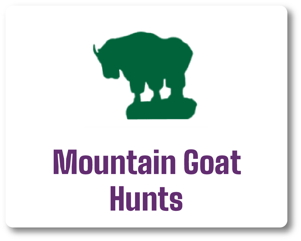 Mountain Goat Hunts