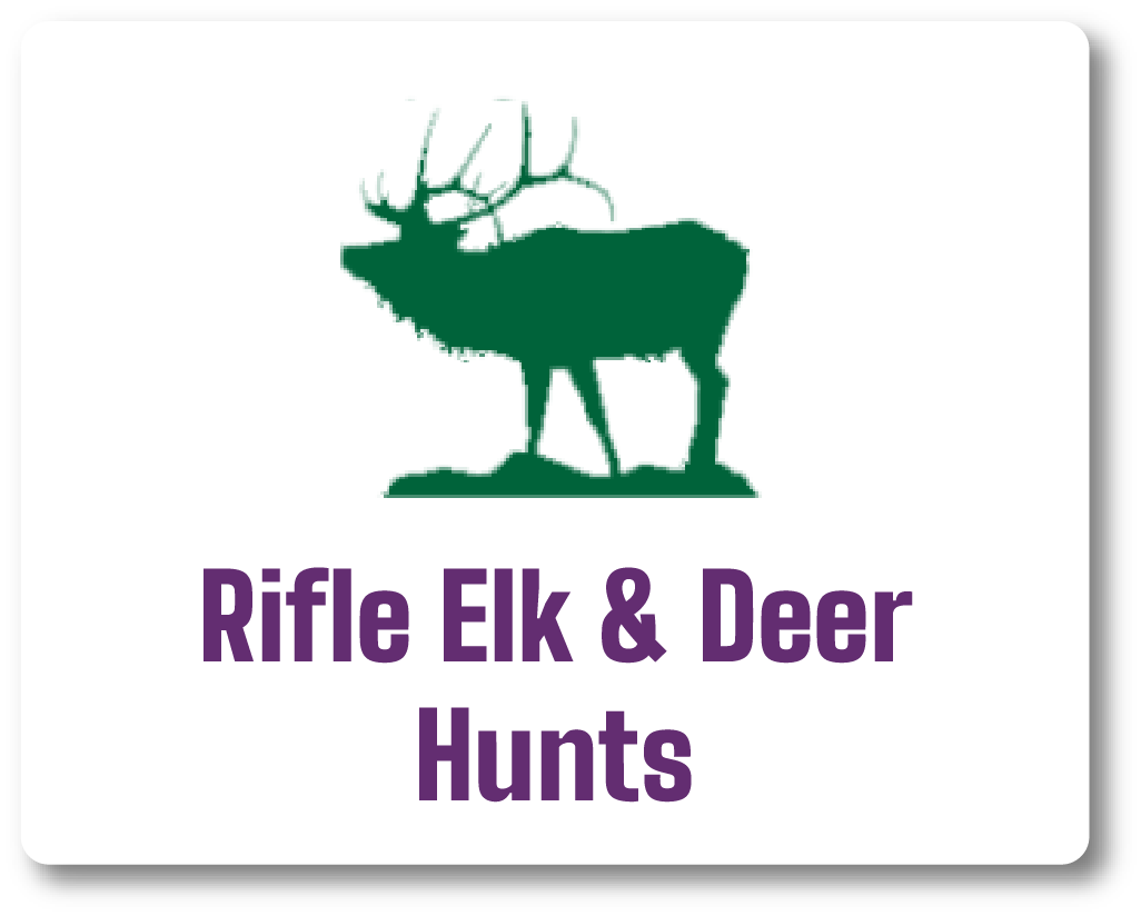 Rifle Elk & Deer Hunts