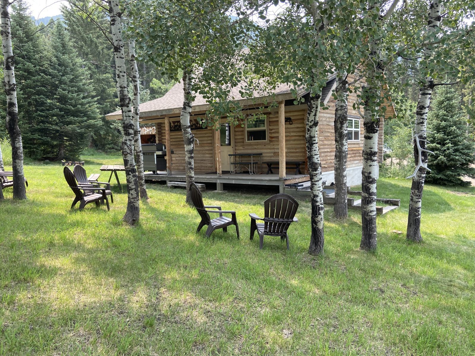 The Cabin