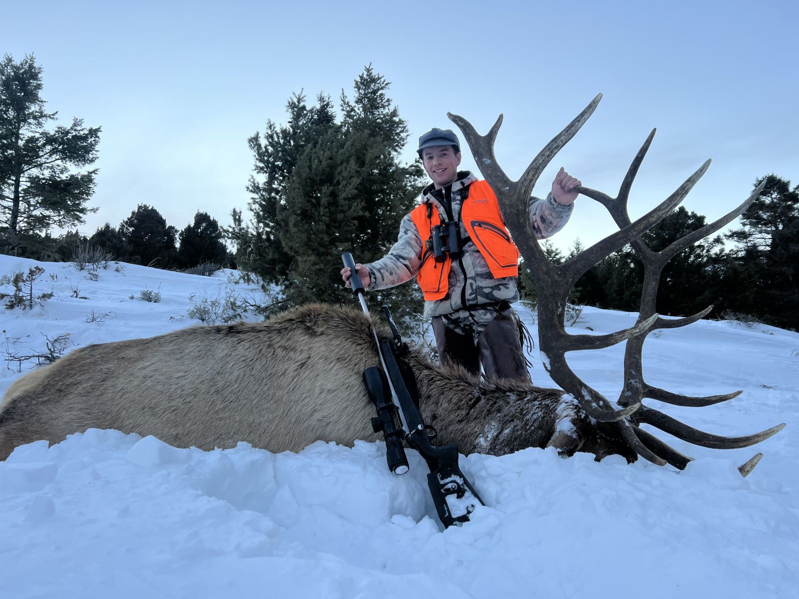Zane's 6 X 8 Bull!