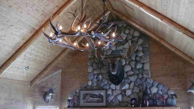 Antler Art