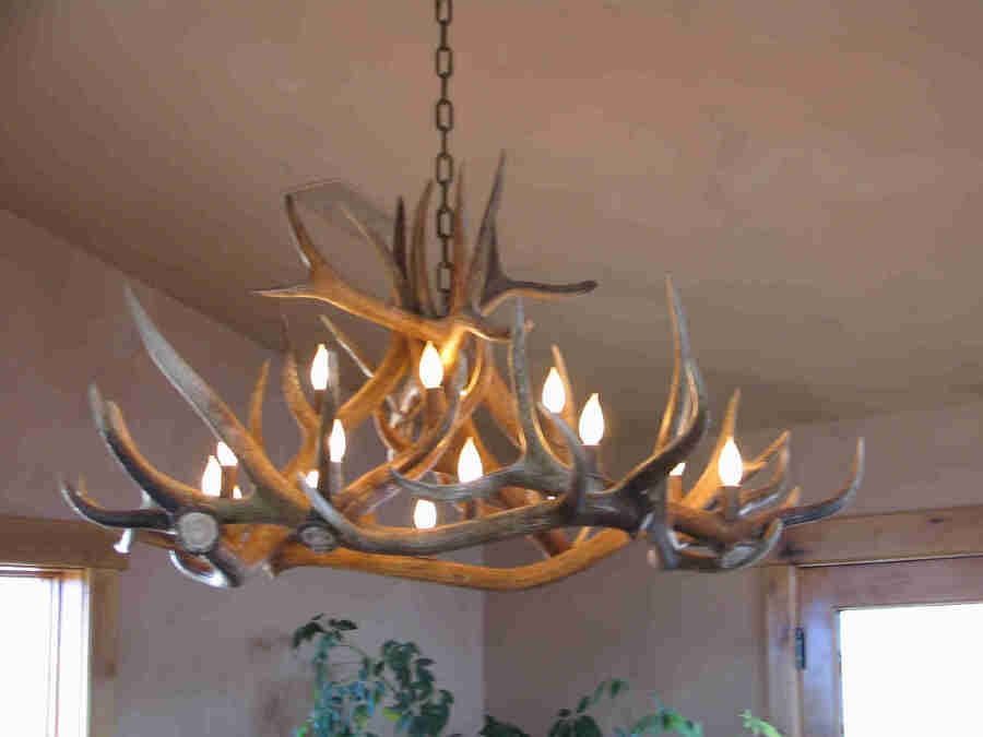 Antler Art