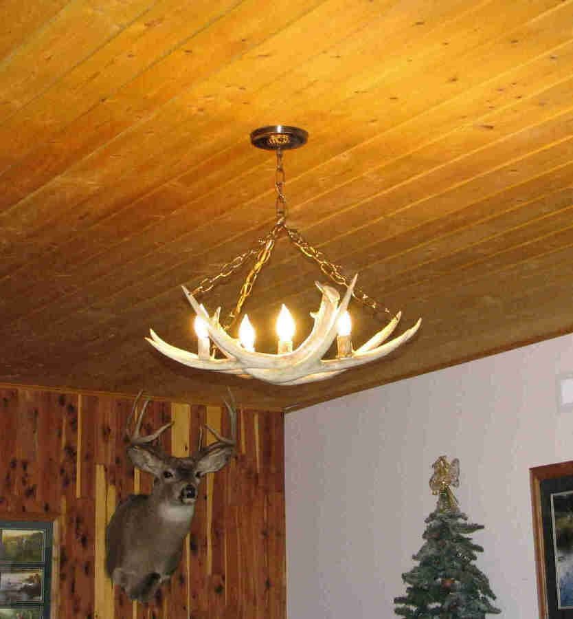 Antler Art