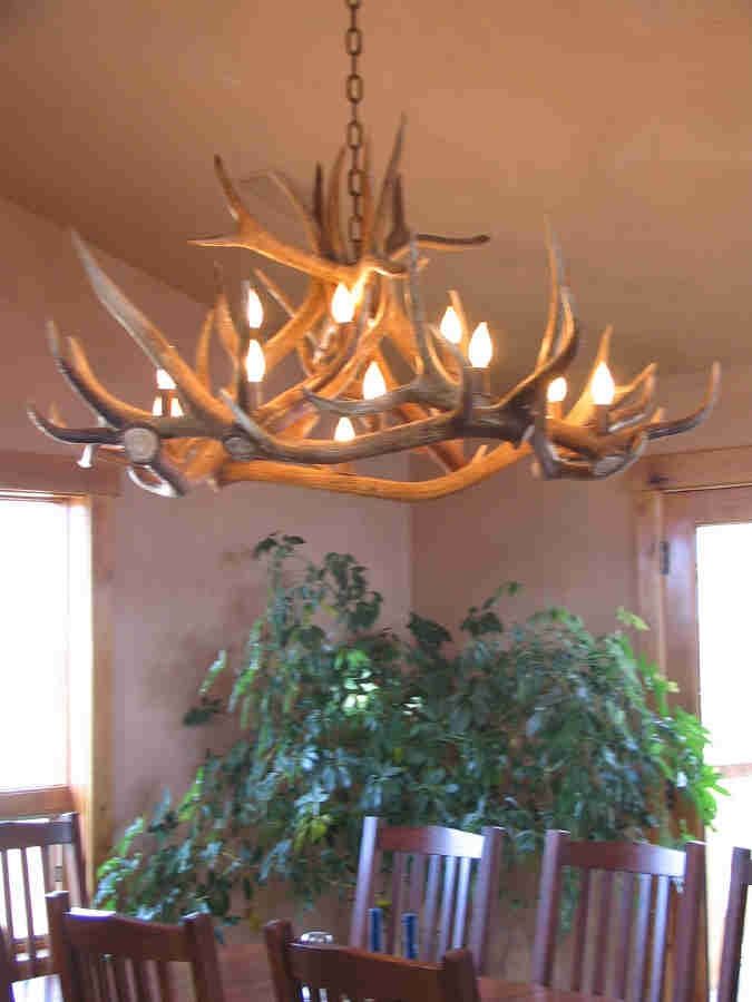 Antler Art