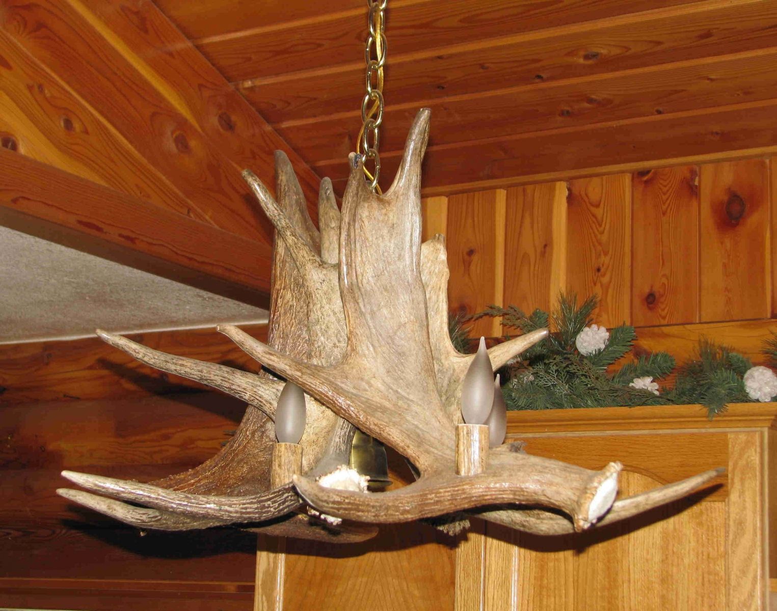 Antler Art