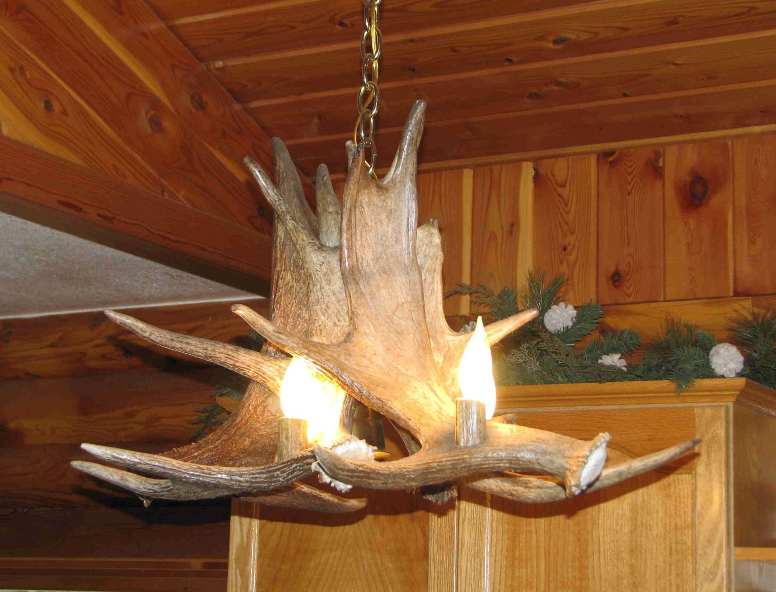 Antler Art