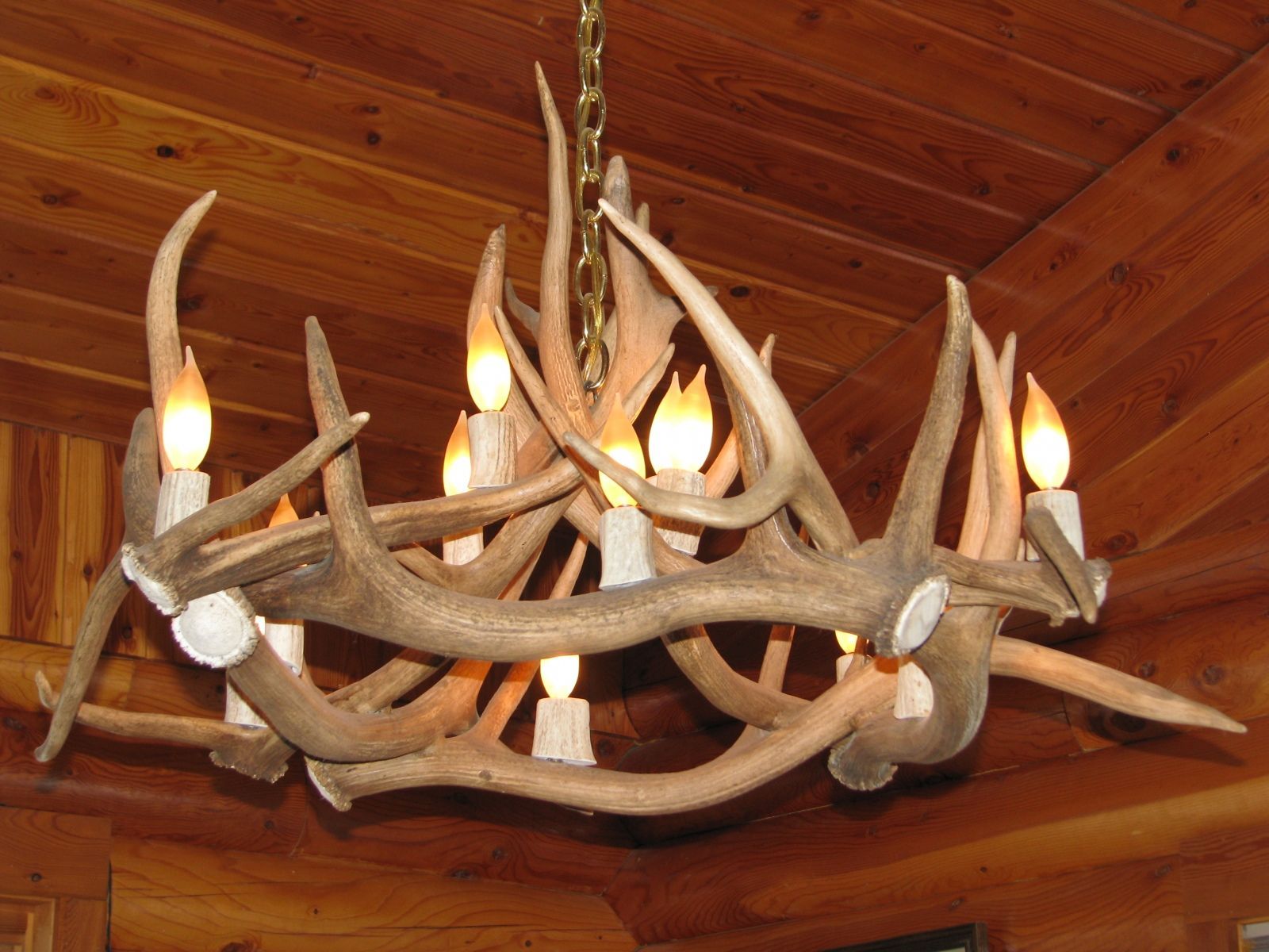 Antler Art