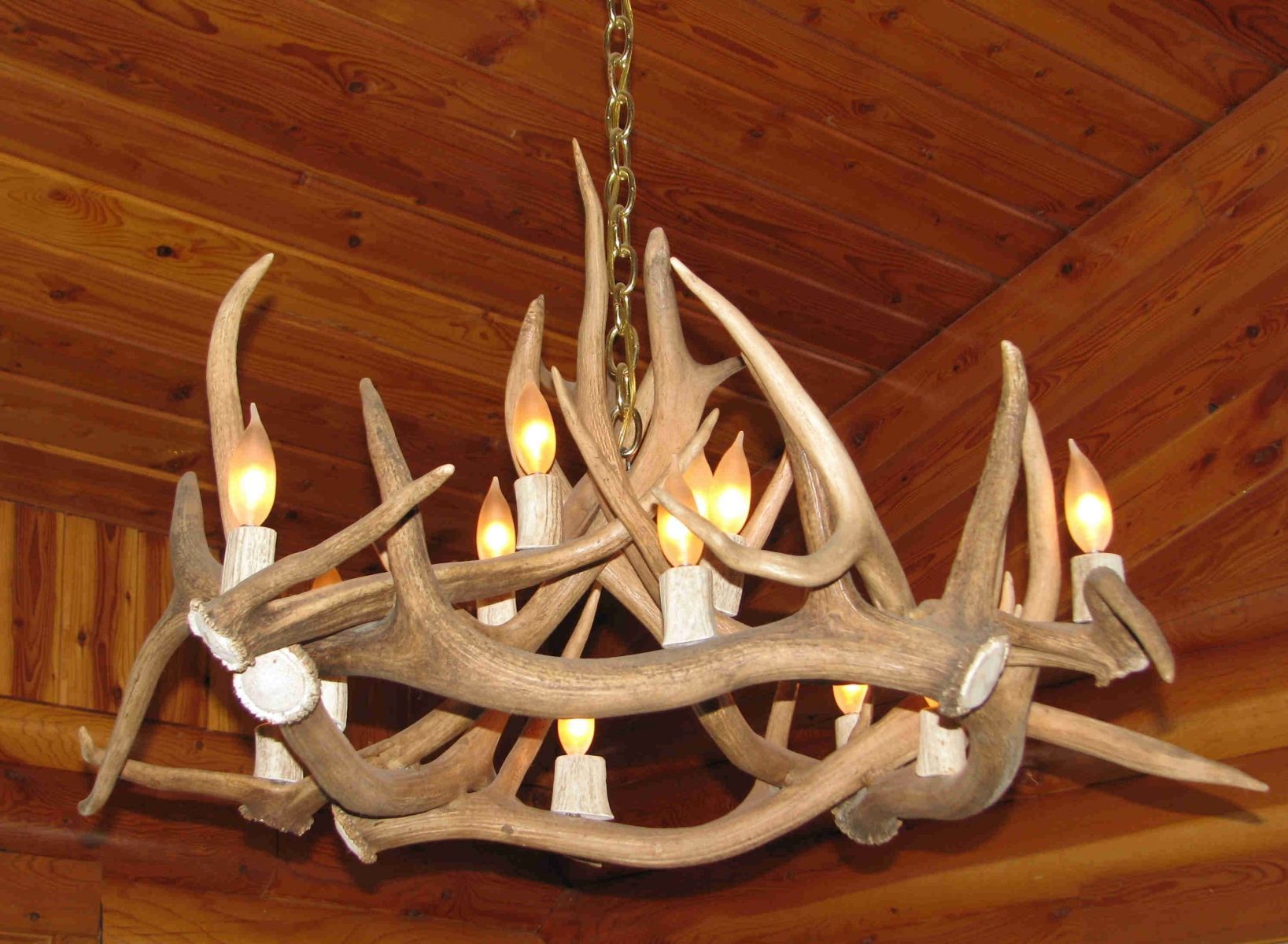 Antler Art