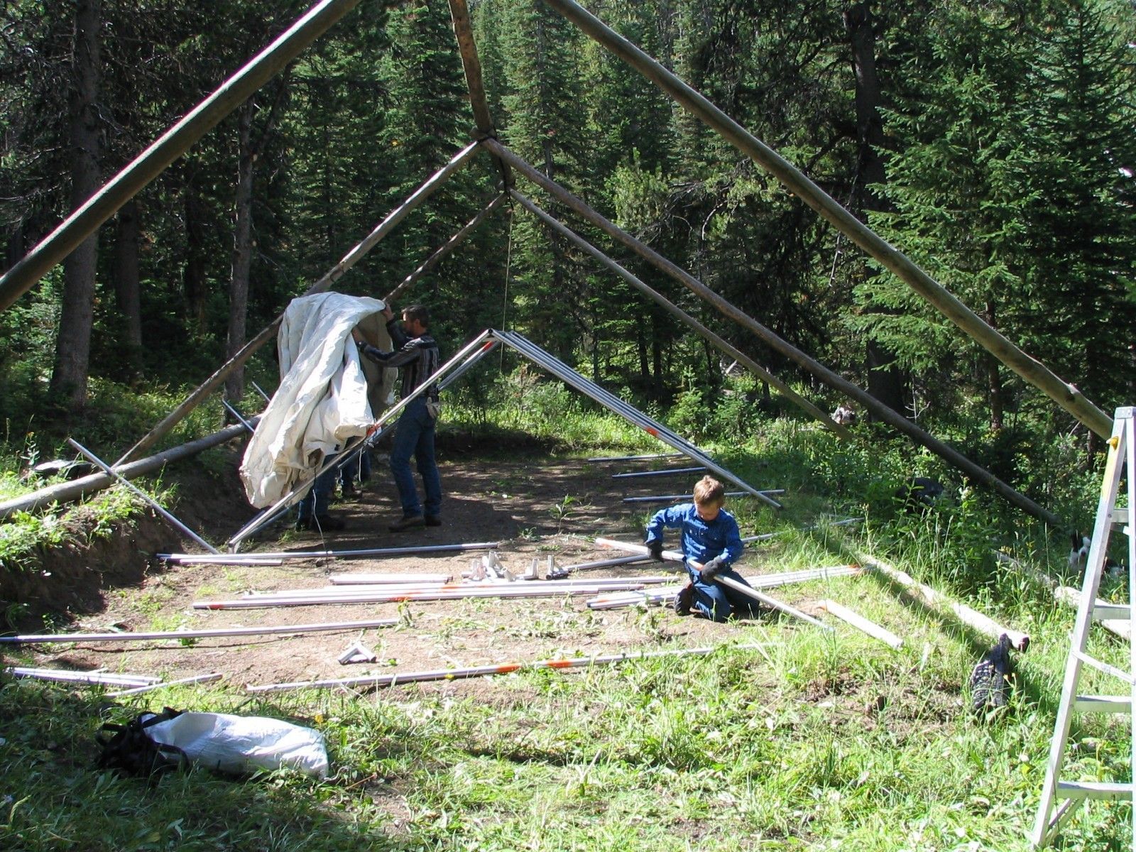2005